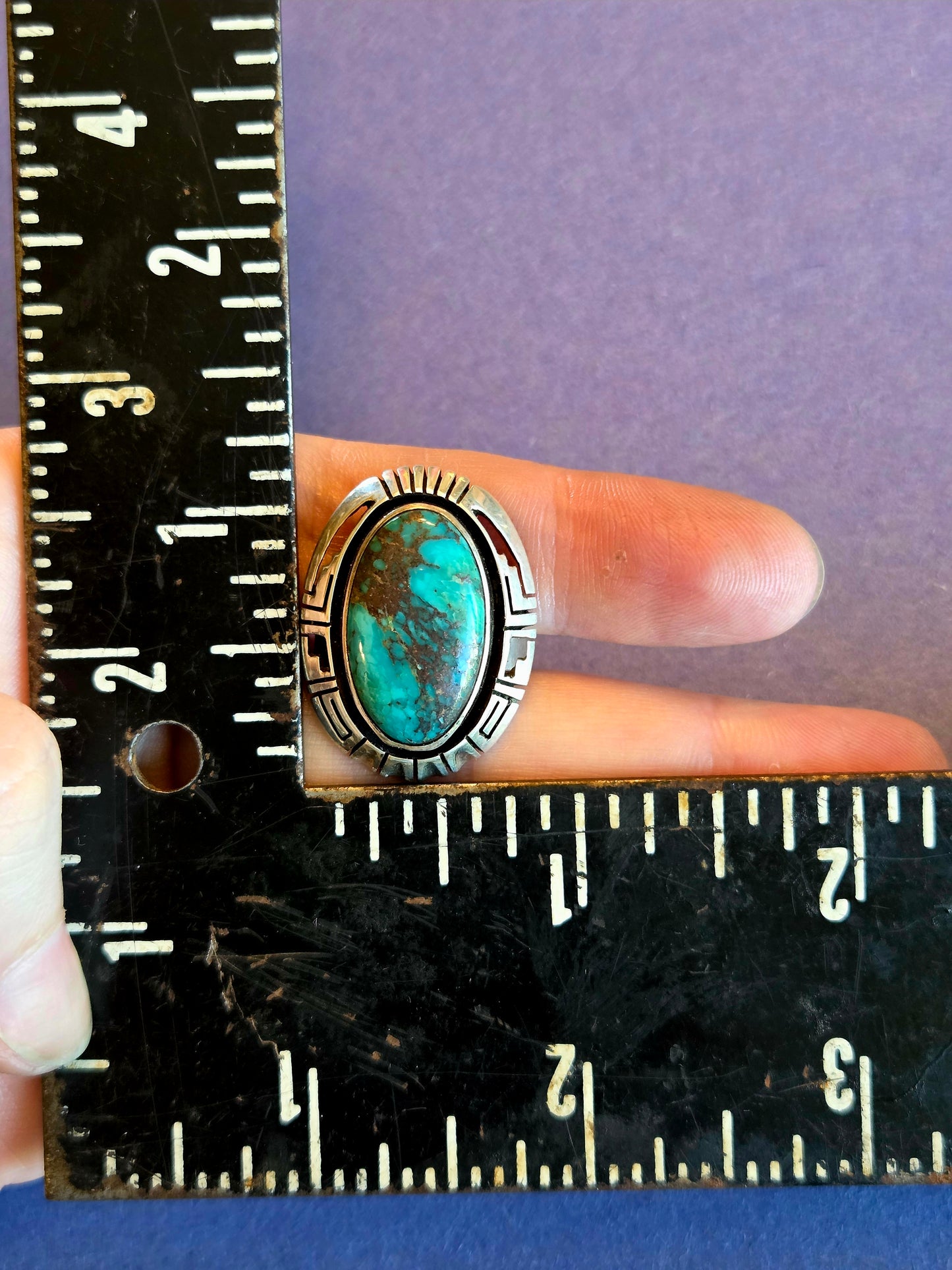 Single Banded Sonoran Gold Turquoise Ring