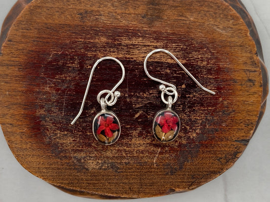 Red Resin set Flower Earrings