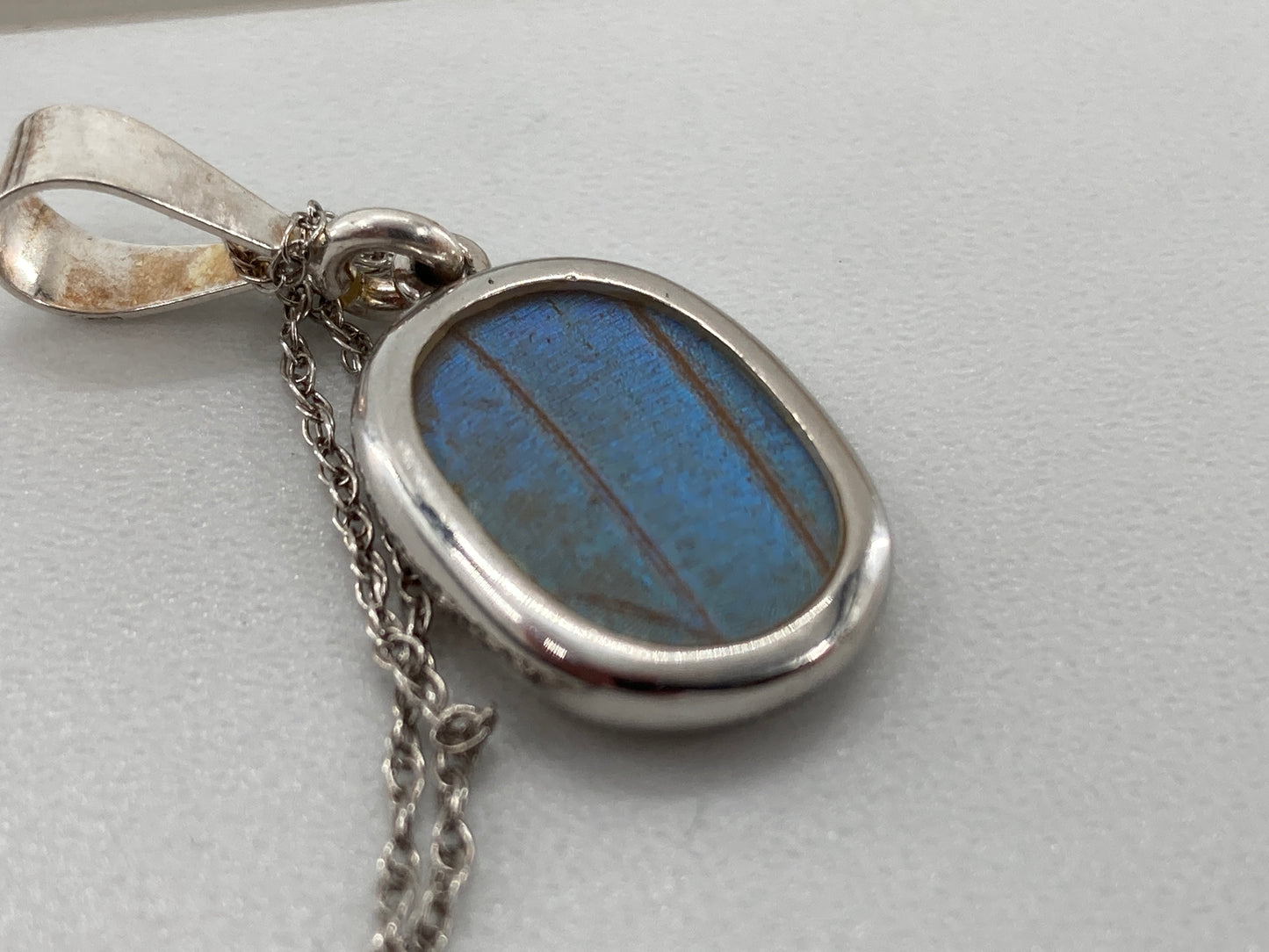 Butterfly Wing Necklace